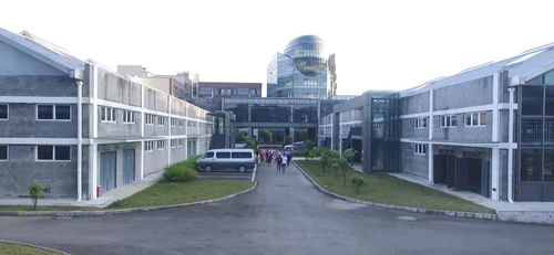 創園國際執行總裁杜樹萍 不忘初心 方得始終